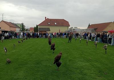 Img 20241010 100946659
