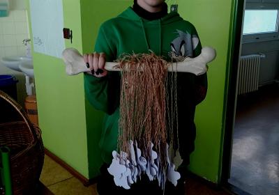 Img 20241022 152505350