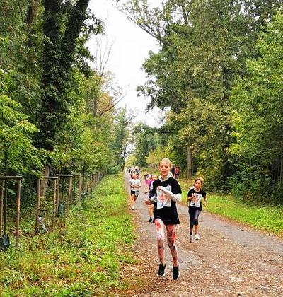 Img 20240924 091012 Edit 1319904150145993 Result