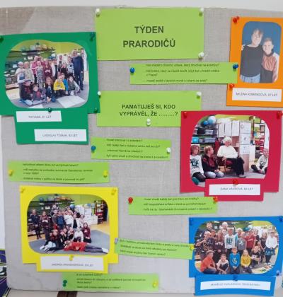 Tden Senior Zatek Jna 4