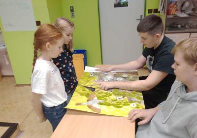Img 20241203 111343874