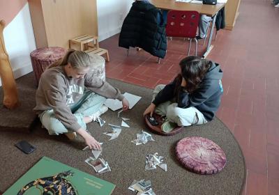 Img 20250331 094235391