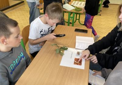 Img 4985