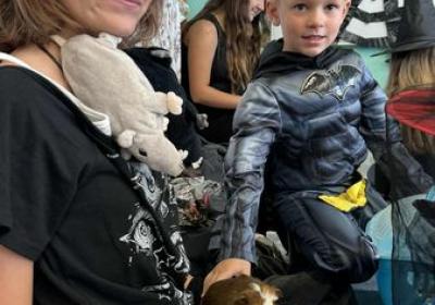 Messenger Creation B43a63c4 407c 4bc4 Ba03 7e237a008d0b Result