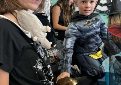 Messenger Creation B43a63c4 407c 4bc4 Ba03 7e237a008d0b