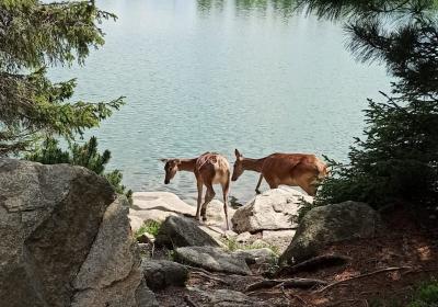 Tatry109